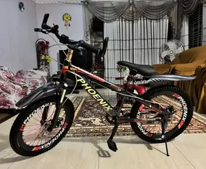 Phoenix Mountain 20" Bicycle (Dual Disc Brakes) – Fresh Condition