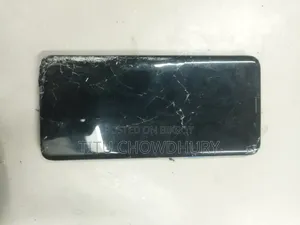 Samsung Galaxy S9 Plus 128 GB Blue