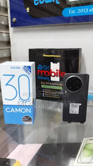 Tecno Camon 30 Premier 512 GB Gray