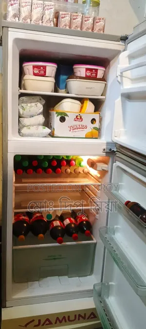 Jamuna Freeze