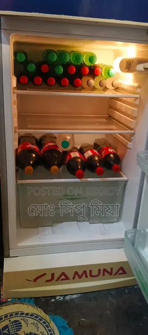 Jamuna Freeze