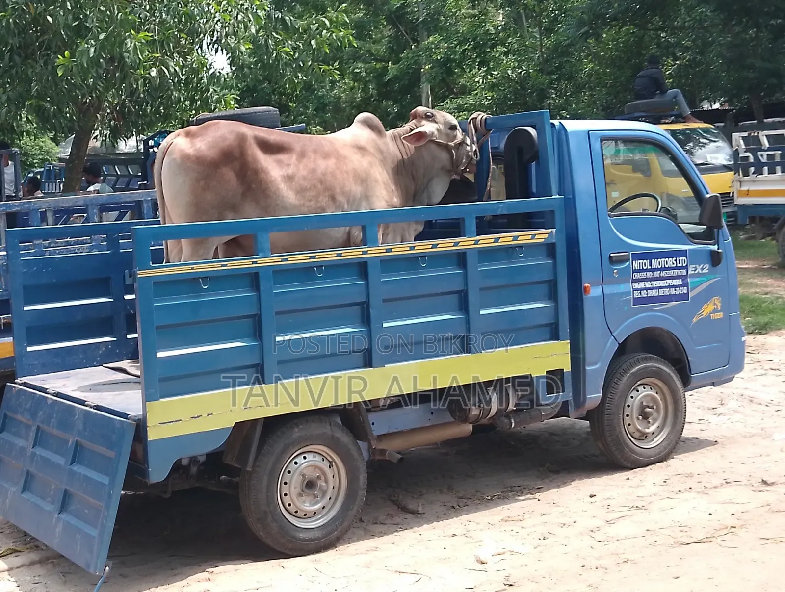 TaTa Ace Ex2 Pickup Sell