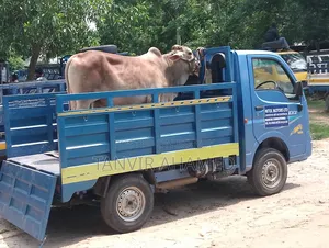 TaTa Ace Ex2 Pickup Sell