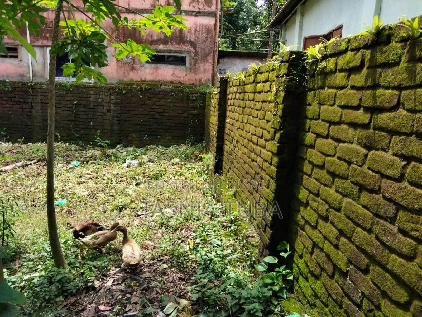 জরুরি ভিত্তিতে ৮ শতাংশ জমি বিক্রি হবে