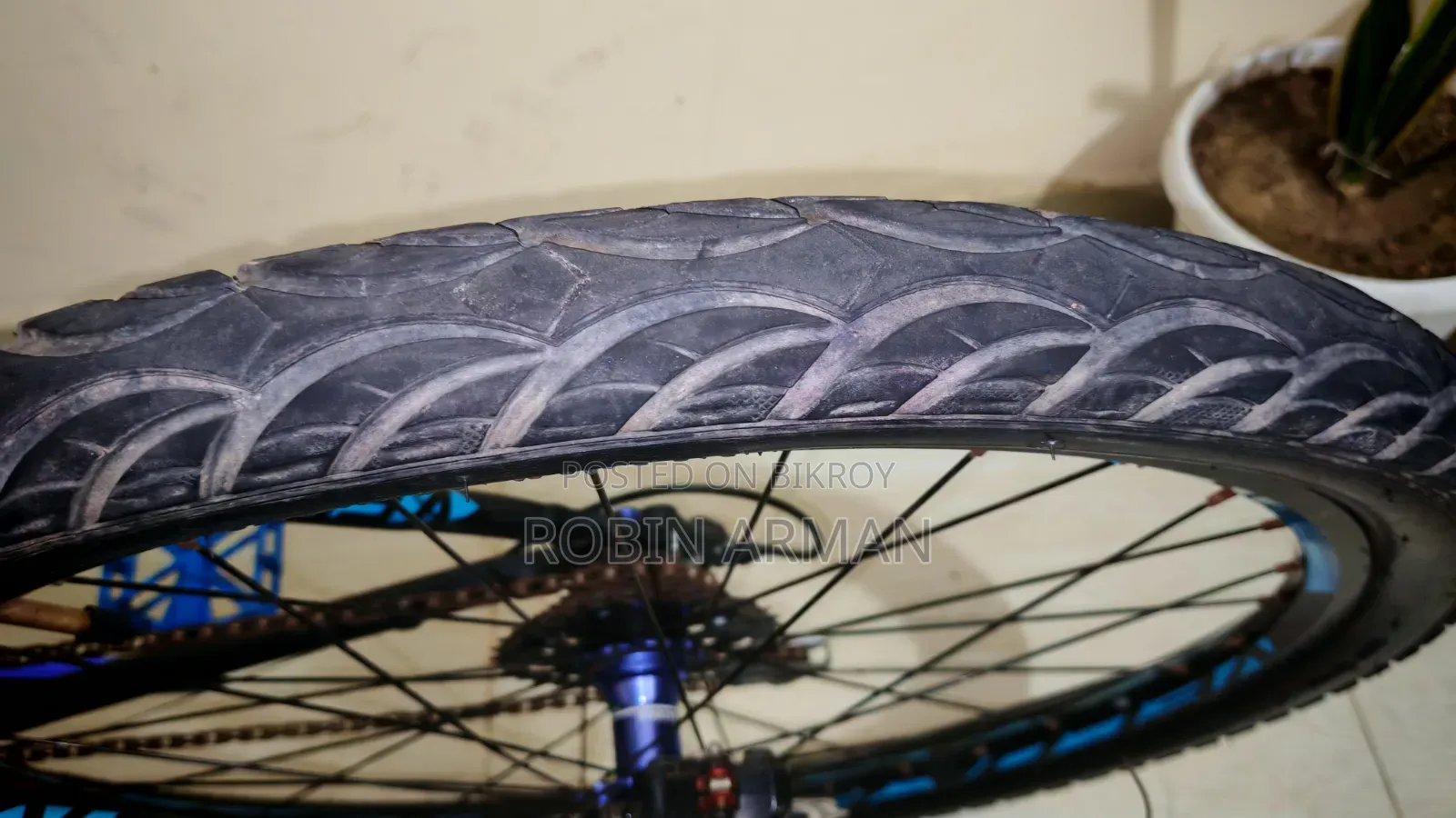 Veloce Outrage 602 (Upgraded)