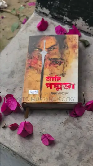 Popular Novel Book for Sale