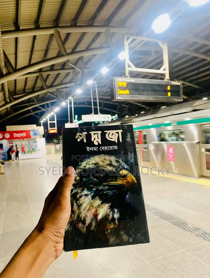 Popular Novel Book for Sale