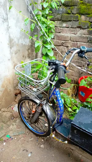 ইলেকট্রিক বাইক