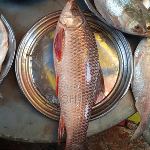 নদীর রুই ৩ কেজি +