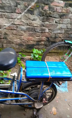 ইলেকট্রিক বাইক