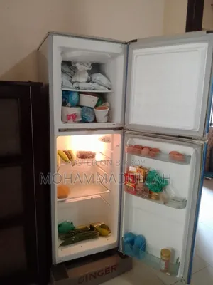 Friz for Sale