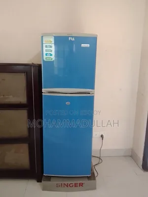 Friz for Sale