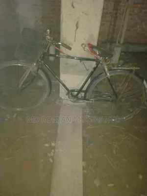 Phoenix Cycle