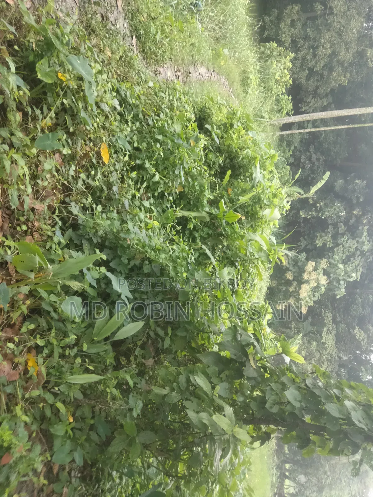জমিজমি বিক্রি হবে