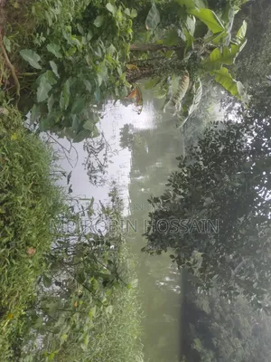 জমিজমি বিক্রি হবে