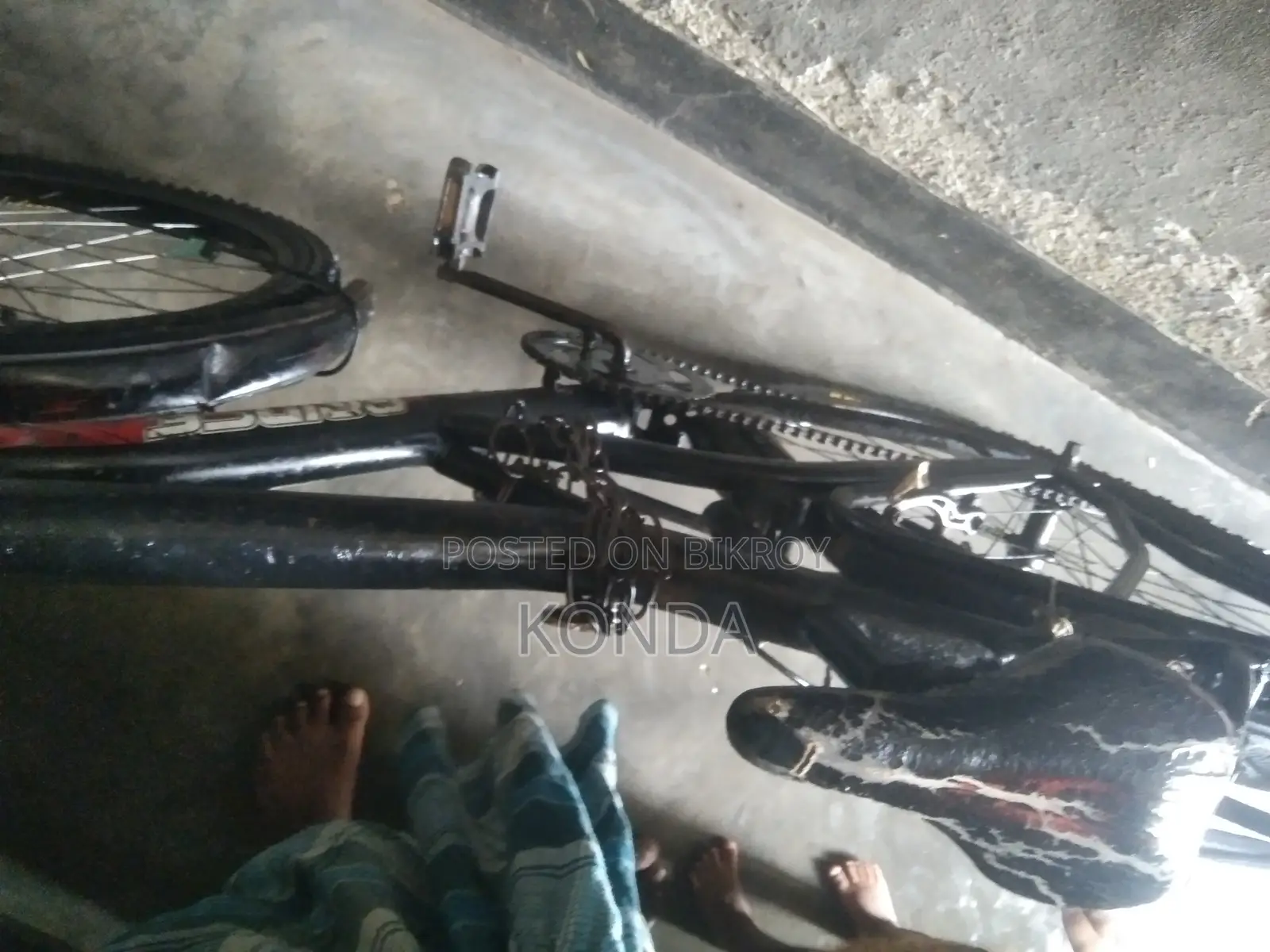 Saikel Bik Ri