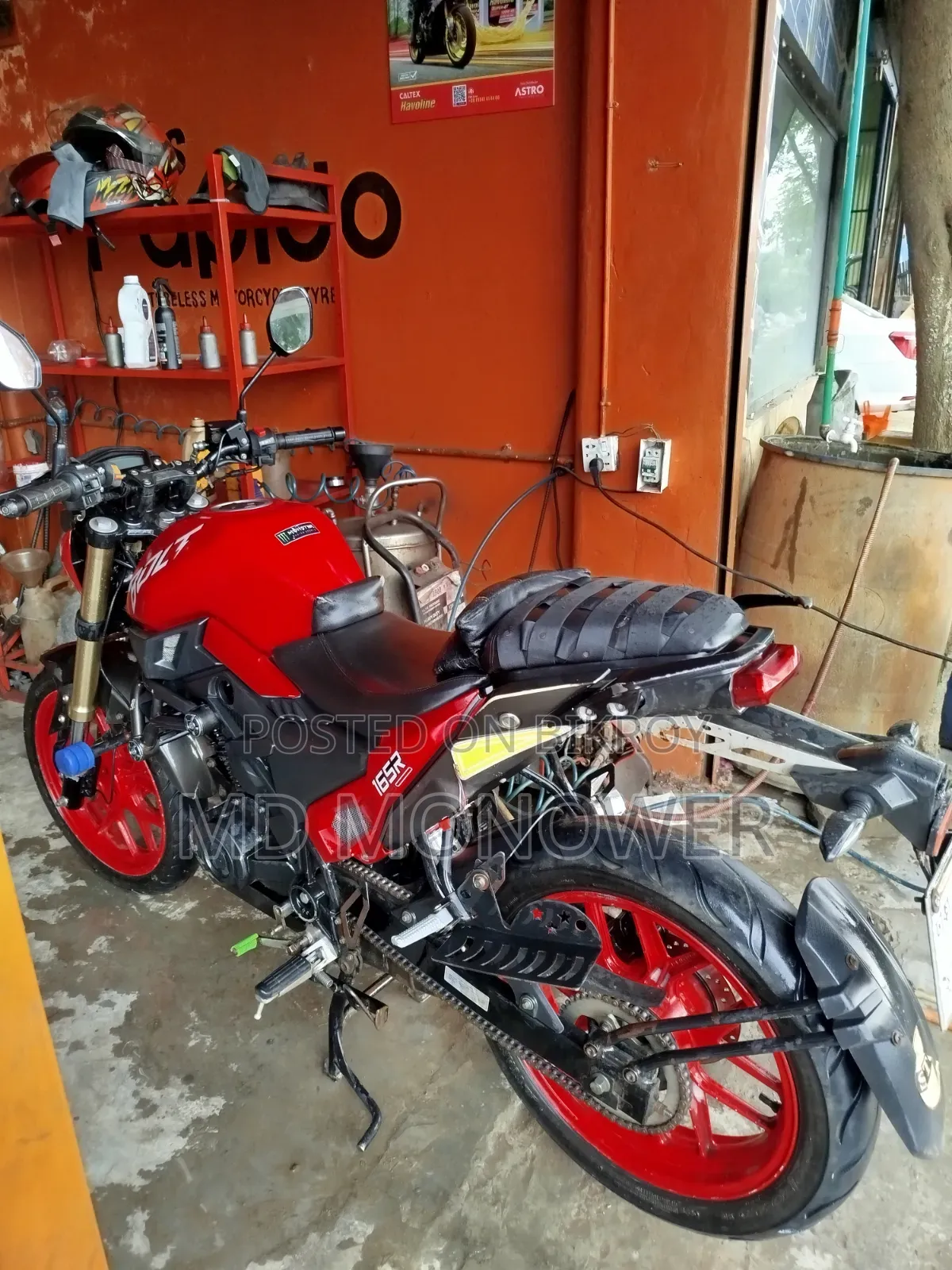 Runner Bolt 165R 2021 Red