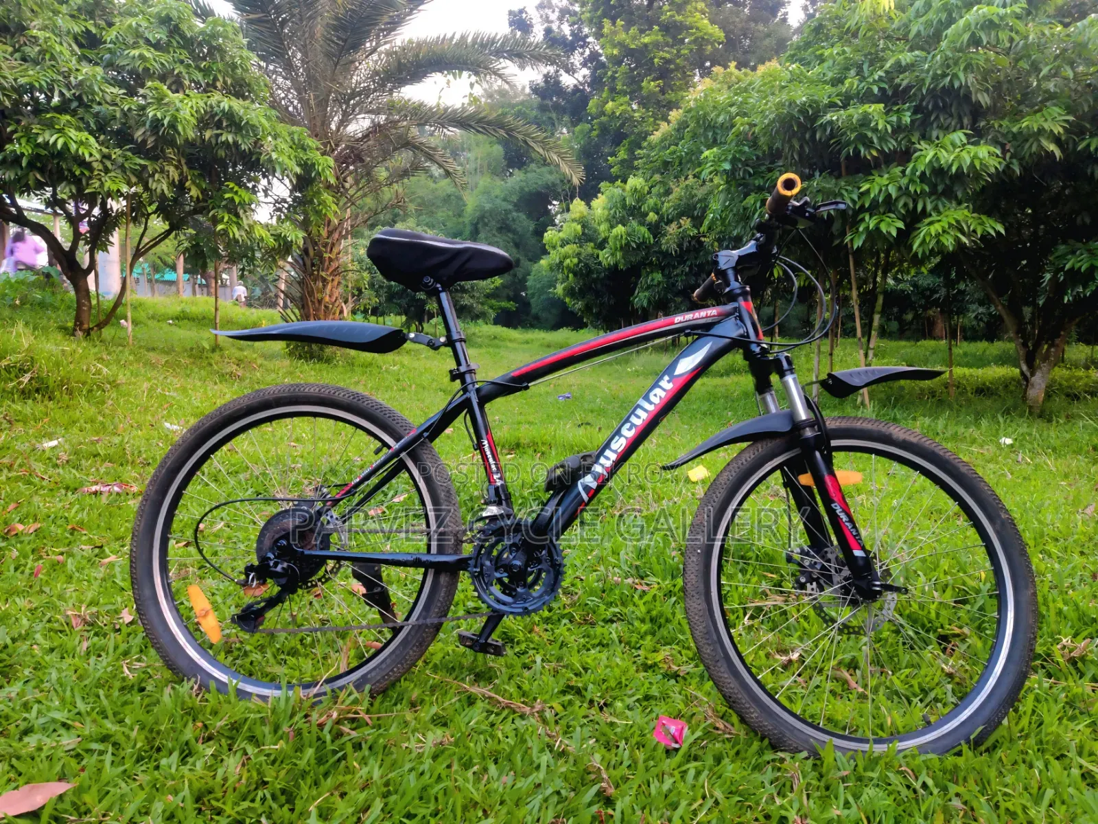 Muscular 24" Gear Cycle – Full Serviced Perfect for Office |  