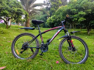 Muscular 24" Gear Cycle – Full Serviced Perfect for Office