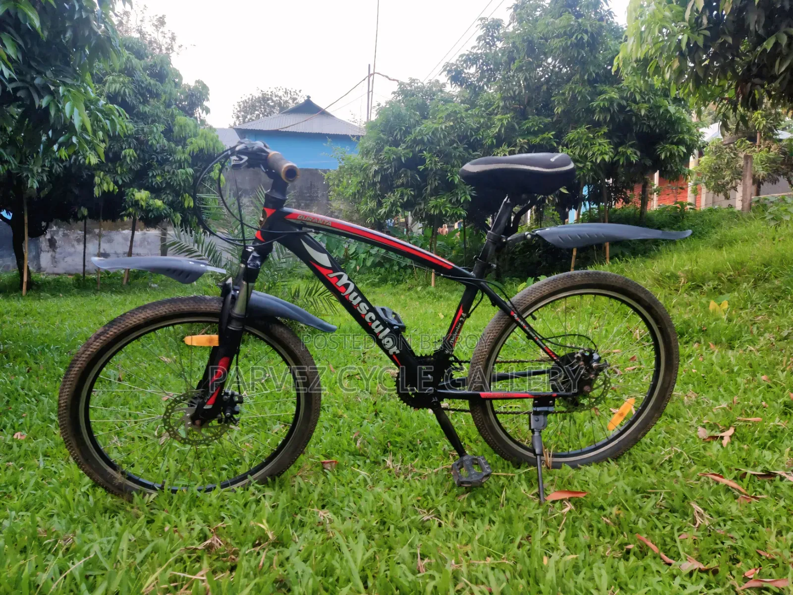Muscular 24" Gear Cycle – Full Serviced Perfect for Office |  