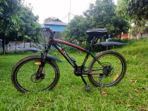 Muscular 24" Gear Cycle – Full Serviced Perfect for Office |  