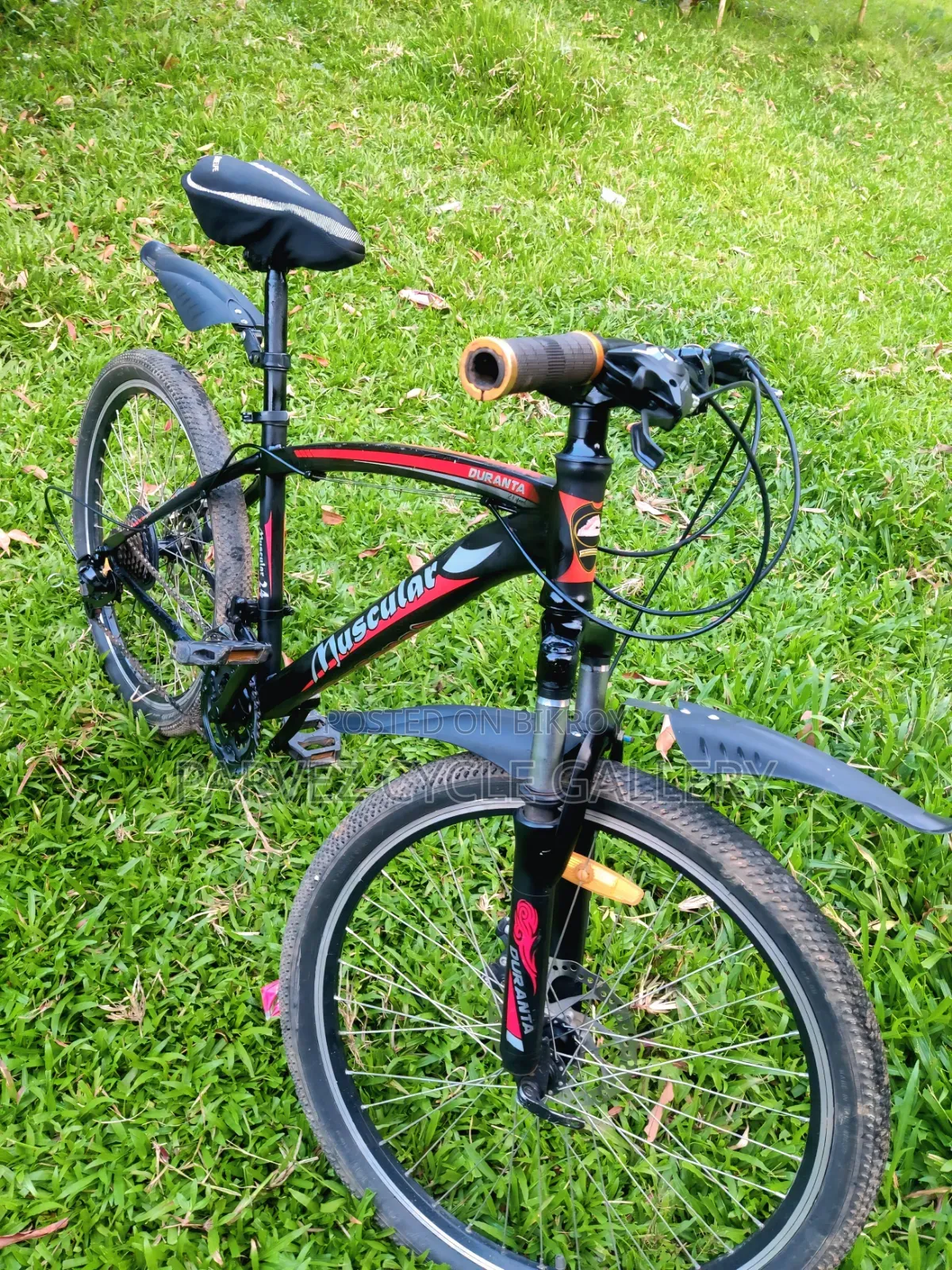 Muscular 24" Gear Cycle – Full Serviced Perfect for Office |  