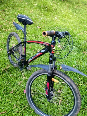 Muscular 24" Gear Cycle – Full Serviced Perfect for Office |  
