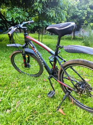 Muscular 24" Gear Cycle – Full Serviced Perfect for Office |  