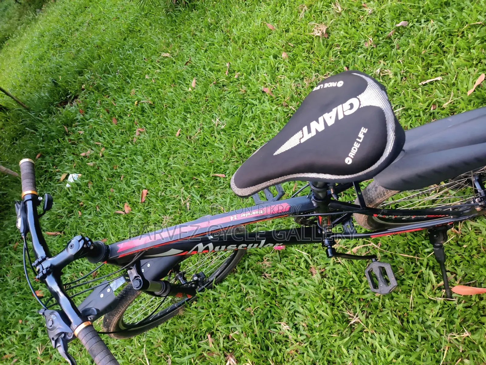 Muscular 24" Gear Cycle – Full Serviced Perfect for Office |  