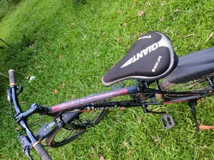 Muscular 24" Gear Cycle – Full Serviced Perfect for Office |  
