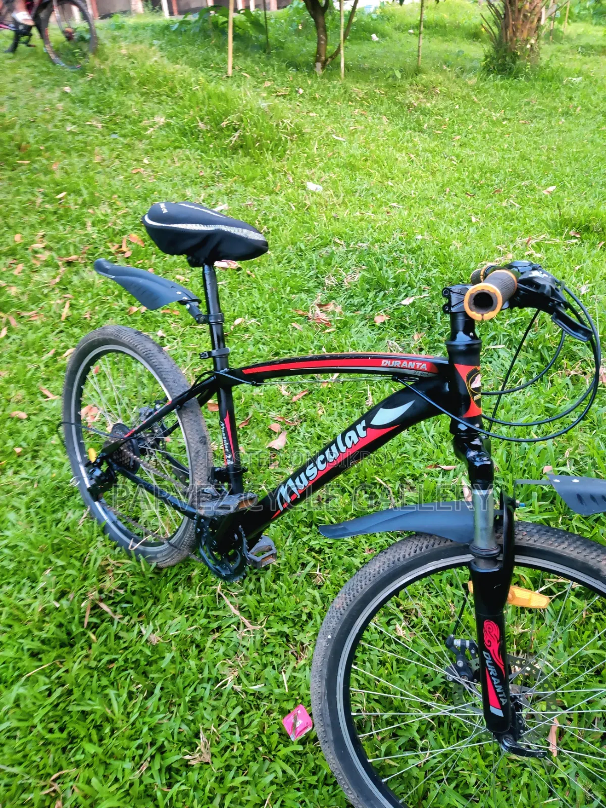 Muscular 24" Gear Cycle – Full Serviced Perfect for Office |  