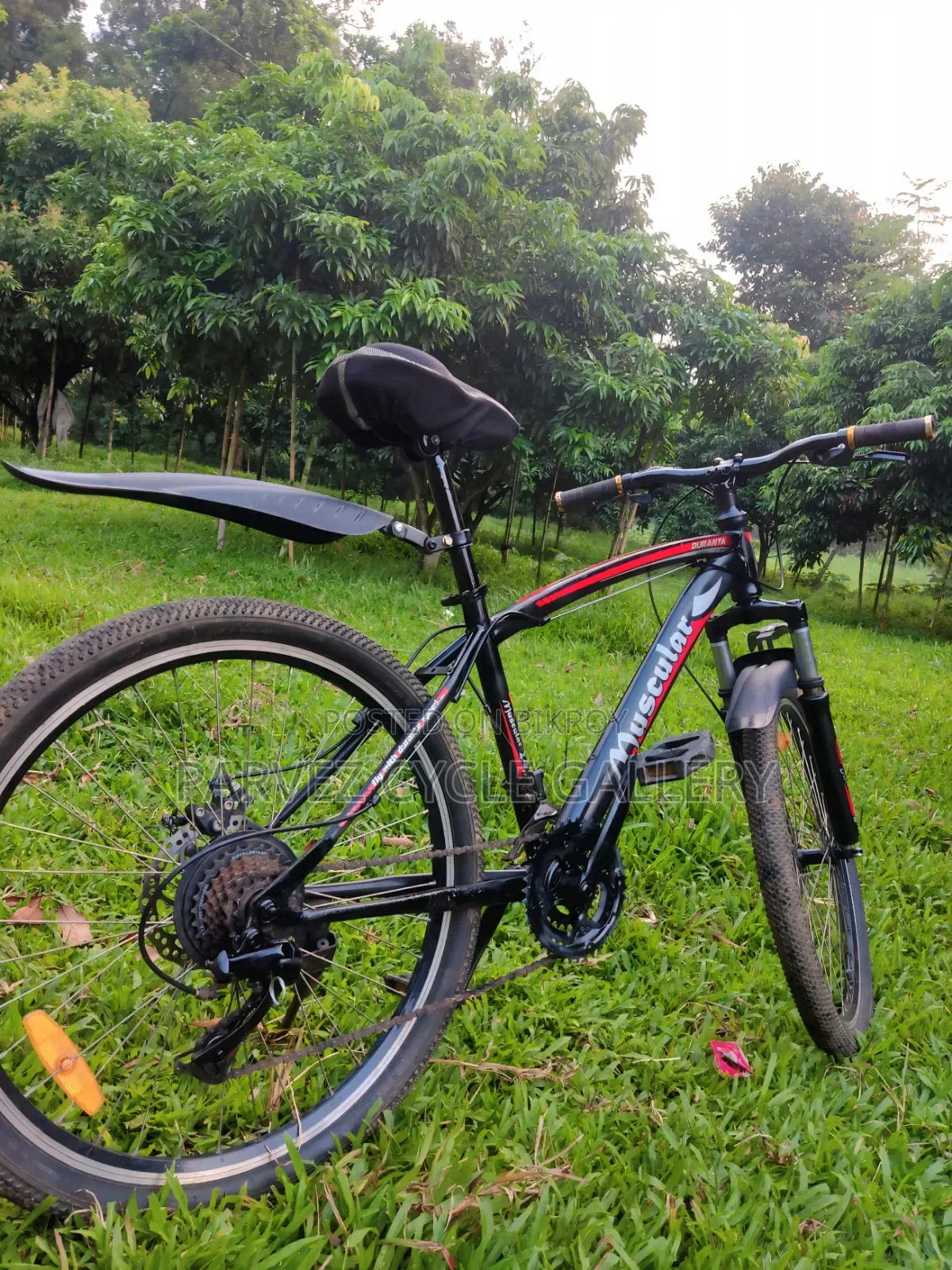 Muscular 24" Gear Cycle – Full Serviced Perfect for Office |  
