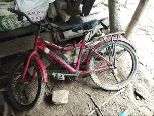 বাই সাইকেল বিক্রী