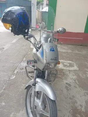 Hero Splendor Pro 2019 Gray