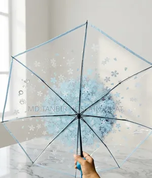 Transparent Umbrella
