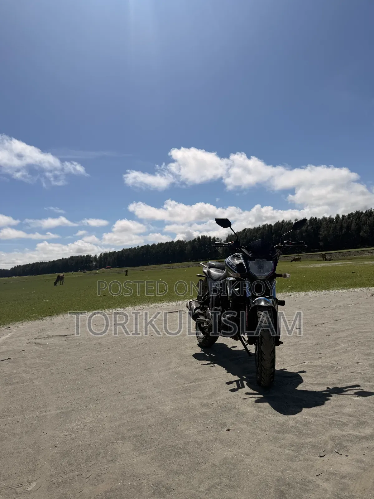New Yamaha FZS V2 2024 Black