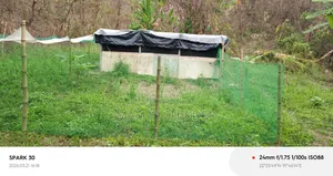 খামার করার জন্য পার্টনার বা ভাড়া দেওয়া হবে।