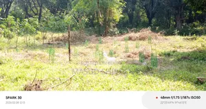 খামার করার জন্য পার্টনার বা ভাড়া দেওয়া হবে।