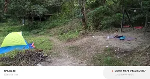 খামার করার জন্য পার্টনার বা ভাড়া দেওয়া হবে।