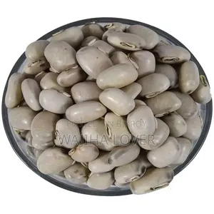 প্রিমিয়াম আলকুশি পাউডার ১০০ গ্রাম