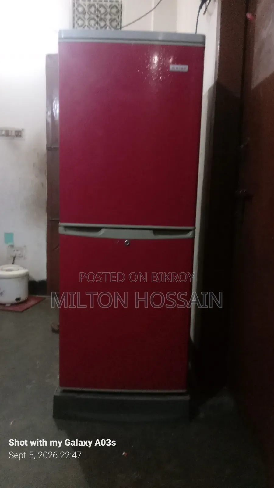 Singer 11 CFT Frost Friz