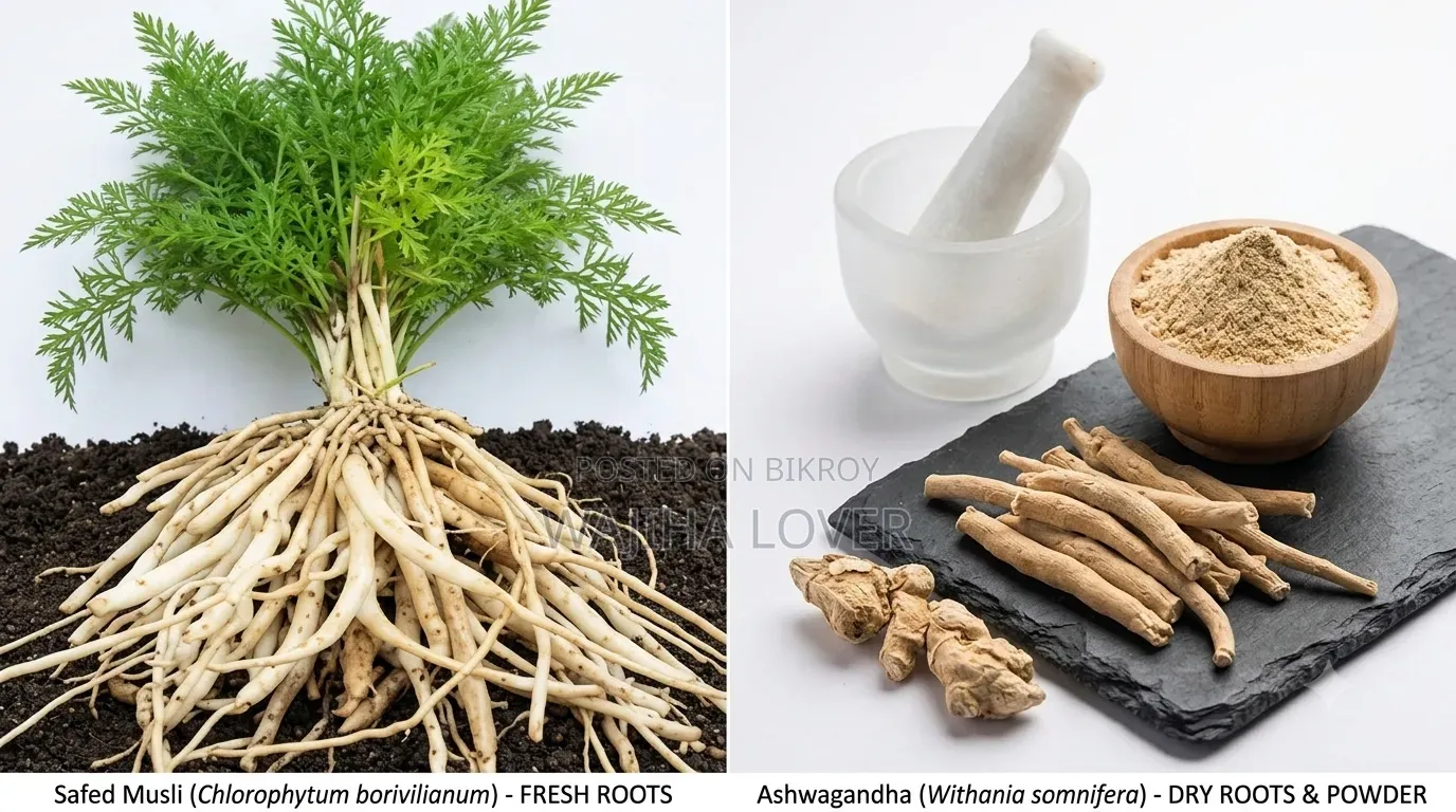 শতমূল পাউডার (Shotomul Powder - 100 Gm)(Asparagus Powder)