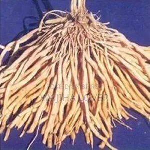 শতমূল পাউডার (Shotomul Powder - 100 Gm)(Asparagus Powder)