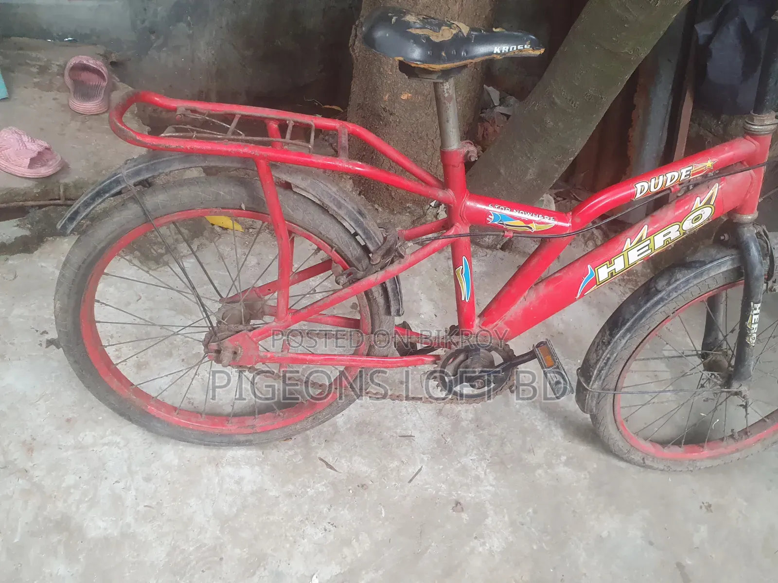 সাইকেল ইউজ করা