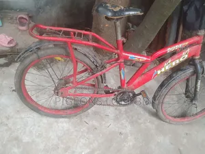 সাইকেল ইউজ করা