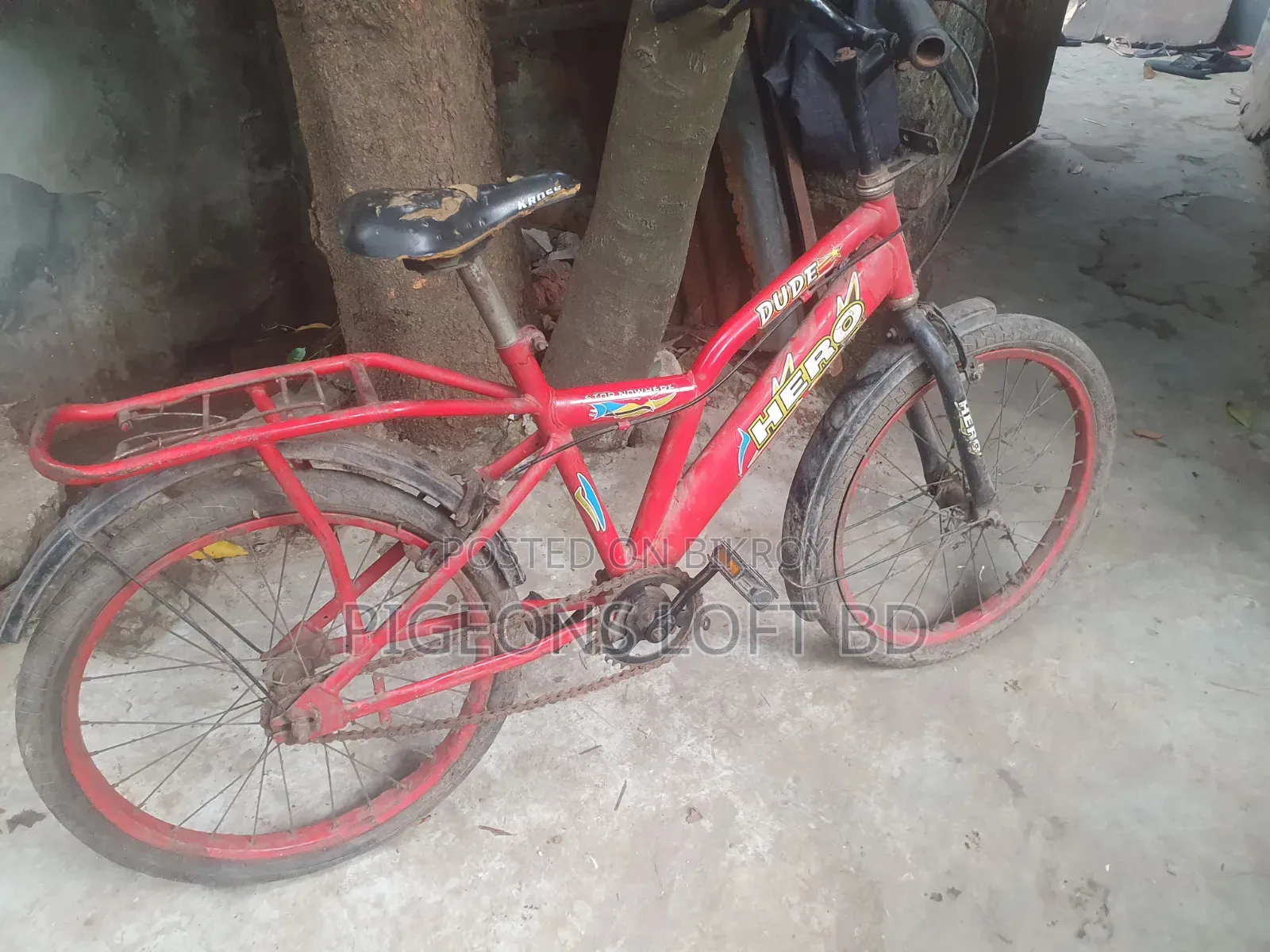 সাইকেল ইউজ করা