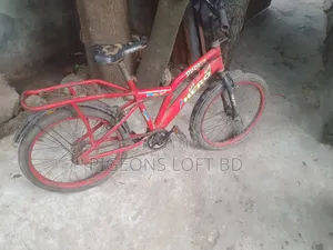 সাইকেল ইউজ করা