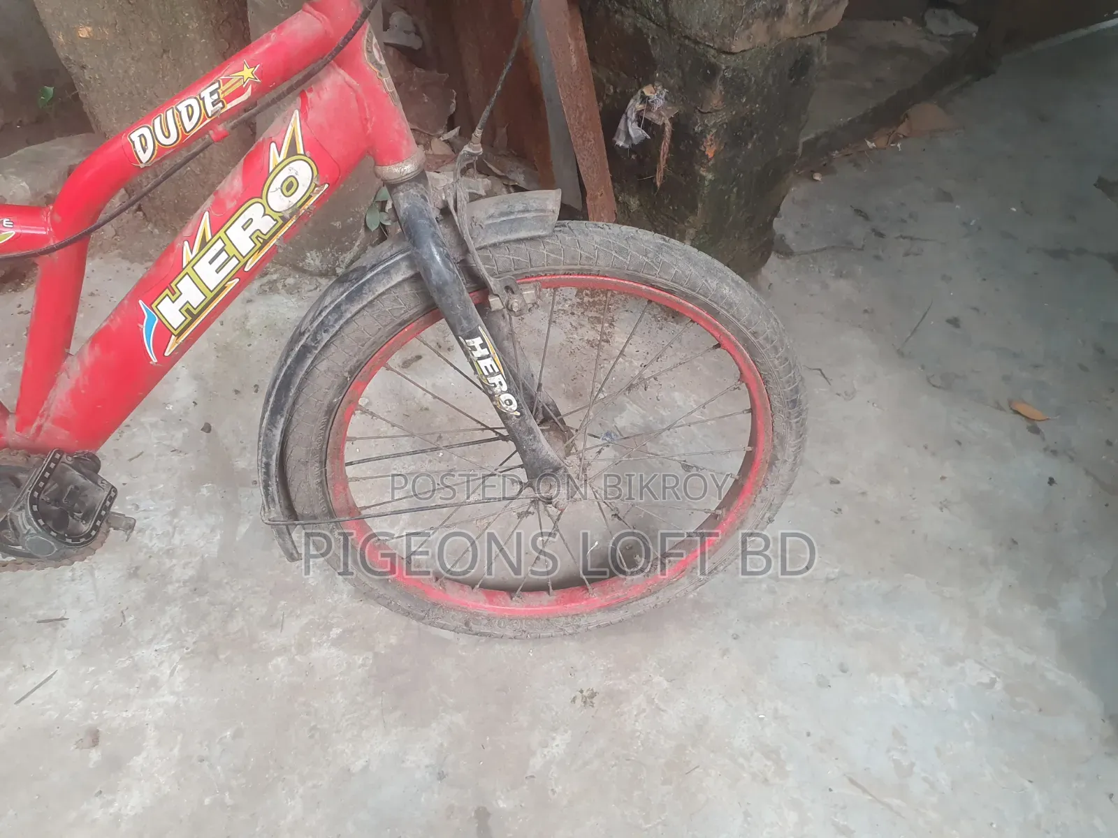 সাইকেল ইউজ করা