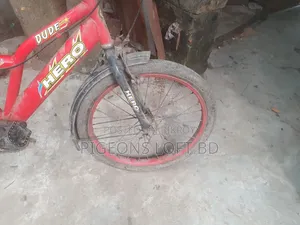 সাইকেল ইউজ করা