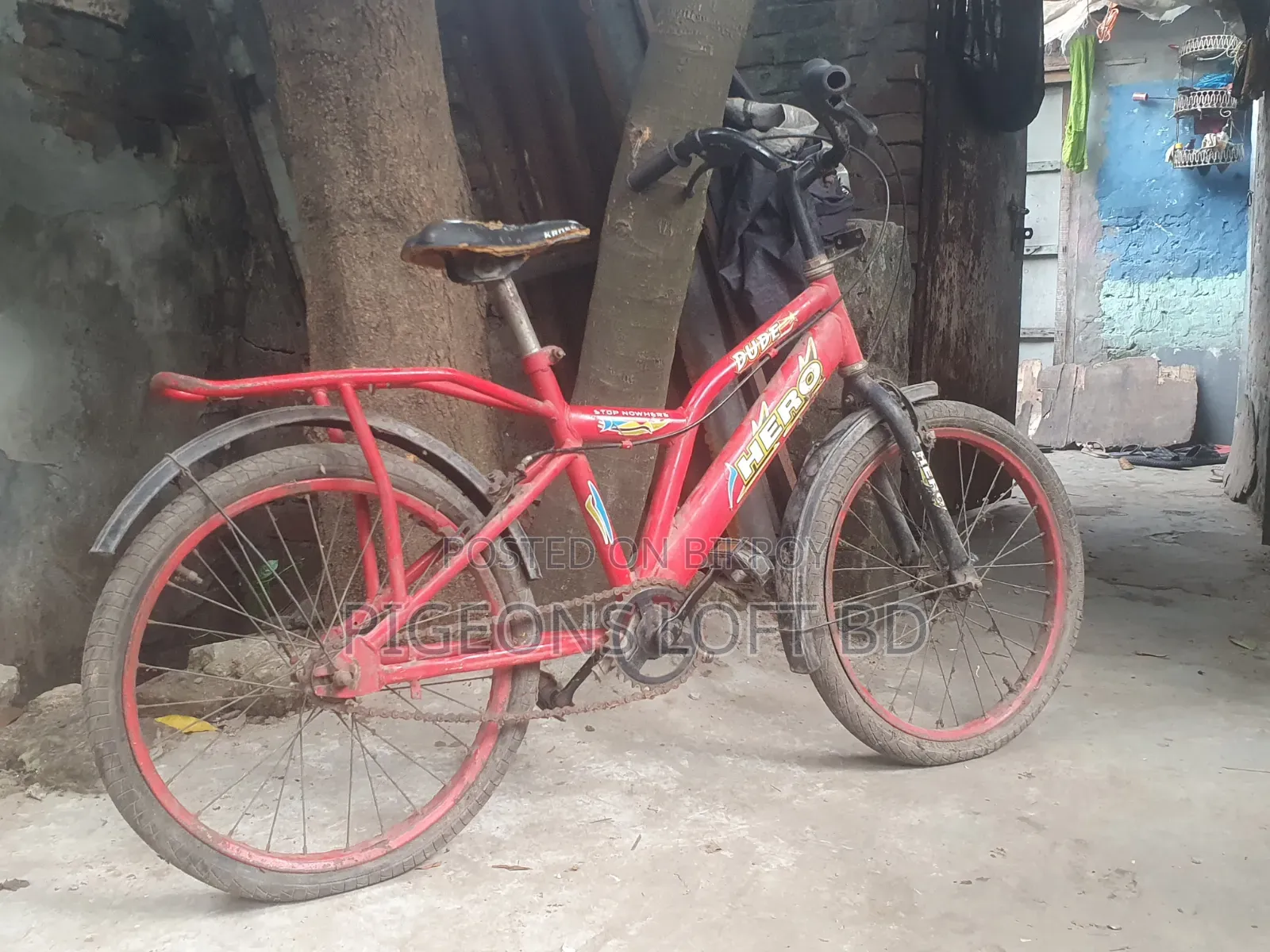 সাইকেল ইউজ করা